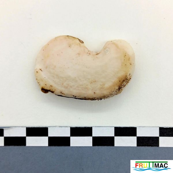 Archivo:105imageIMG 20230818 115457 (2).jpg