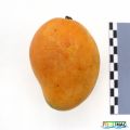 115imageIMG 4727.JPG