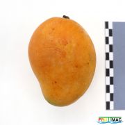 115imageIMG 4727.JPG