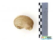 1075imageIMG 9231.jpg