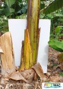 177imageIMG 20230125 115855 (3).jpg