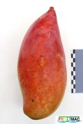 53imageIMG 3688.JPG