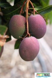 1043imageIMG 0091.JPG