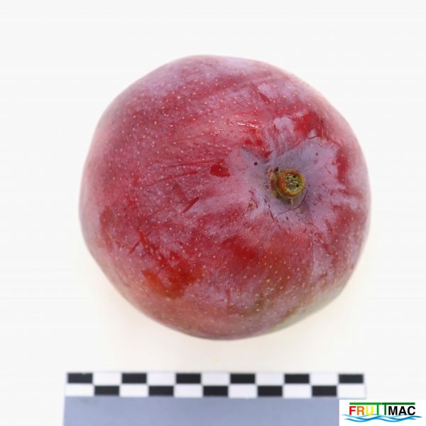 Archivo:440imageIMG 1857 (2).JPG