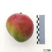 67imageIMG 20230821 132753(3).jpg