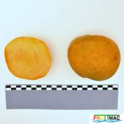 1025imageIMG 0914.111.JPG