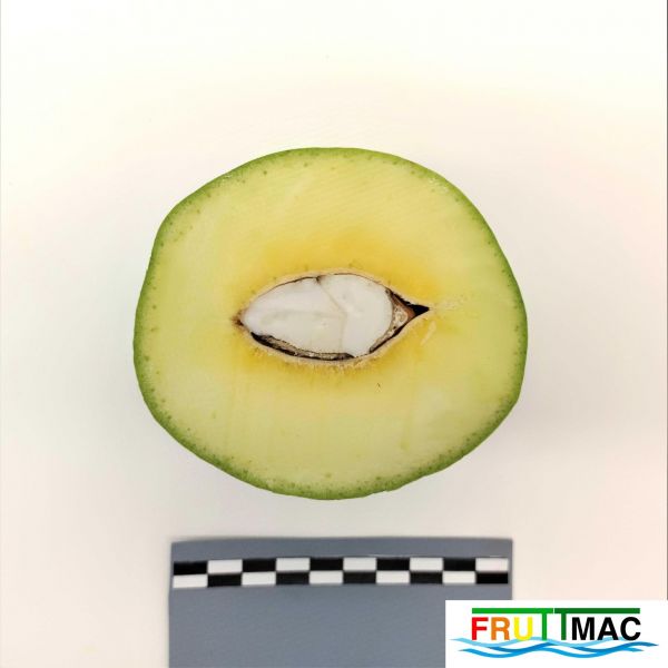 Archivo:628imageIMG 20230803 144018 (2).jpg