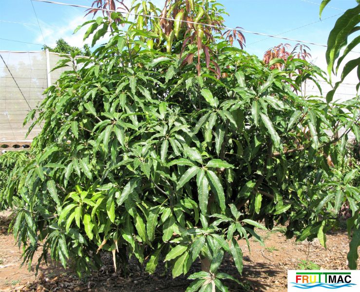 Archivo:72imageIMG 6036 (2).jpg