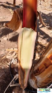 1021imageIMG 20250321 112804.2222.jpg