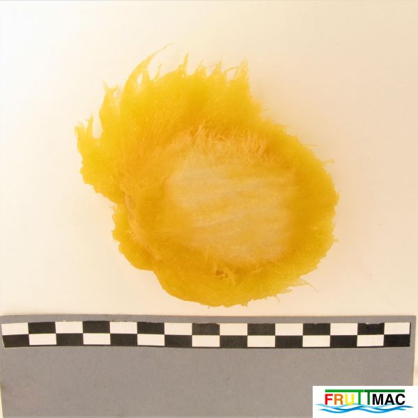 Archivo:72imageIMG 0679 (2).JPG