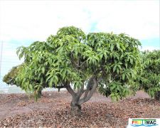 112imageP1230278 (3).jpg