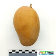 621imageIMG 20230811 114009(2).jpg