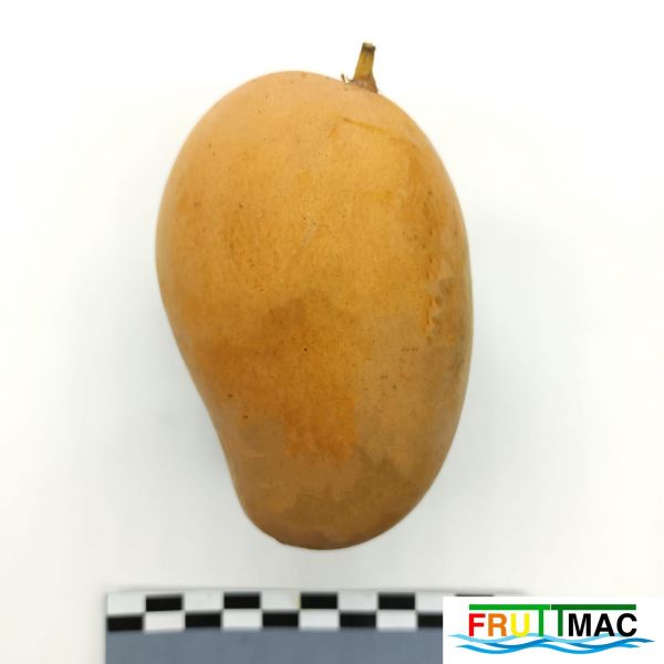 Archivo:621imageIMG 20230811 114009(2).jpg