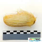 621imageIMG 20230811 114416(2).jpg