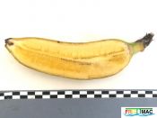 202imageIMG 20220720 113624.111.jpg