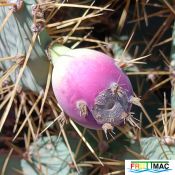 485imageIMG 20250228 113422.111.jpg