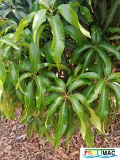 60imageIMG 20240716 120310(1).jpg