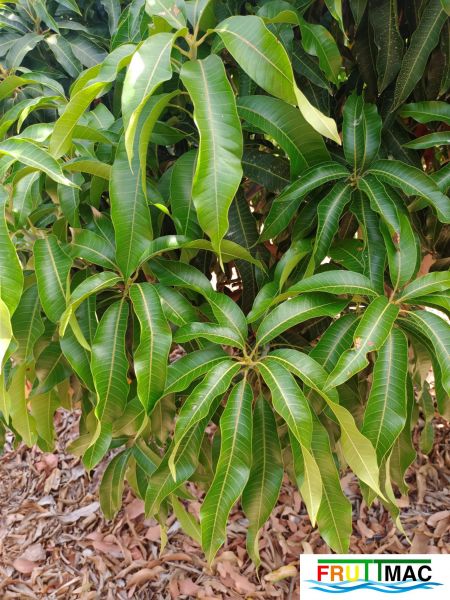 Archivo:60imageIMG 20240716 120310(1).jpg