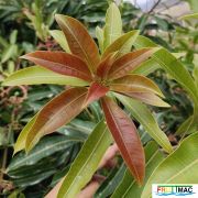 634imageIMG 20240605 112104.jpg