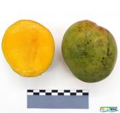 57imageIMG 3621.JPG