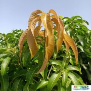 633imageIMG 20240716 115925(1).jpg
