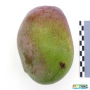 137imageIMG 4366.JPG