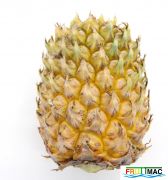 898imageIMG 5794.JPG