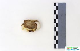 1074imageIMG 9092.jpg