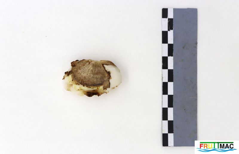 Archivo:1074imageIMG 9092.jpg