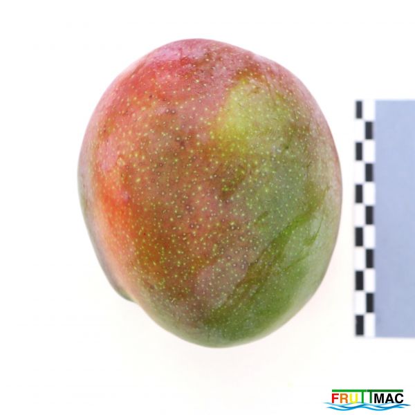 Archivo:440imageIMG 1856 (2).JPG