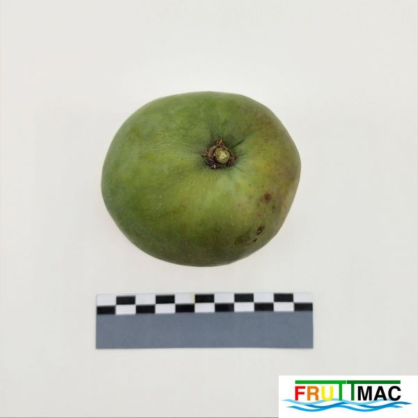 Archivo:68imageIMG 20230809 135224 (2).jpg