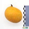 Miniatura de la versión del 00:01 14 oct 2025