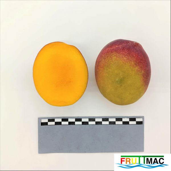 Archivo:105imageIMG 20230801 120400 (3).jpg