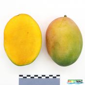 85imageIMG 3011.JPG