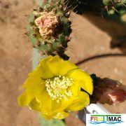 991imageIMG 20250521 102240.111.jpg