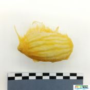 630imageIMG 20230811 103523(2).jpg