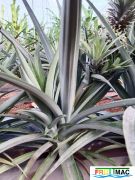 898imageIMG 20231129 0932121.jpg