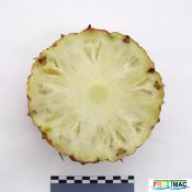 934imageIMG 6058.JPG