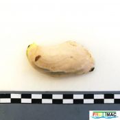 94imageIMG 20220921 101352.jpg