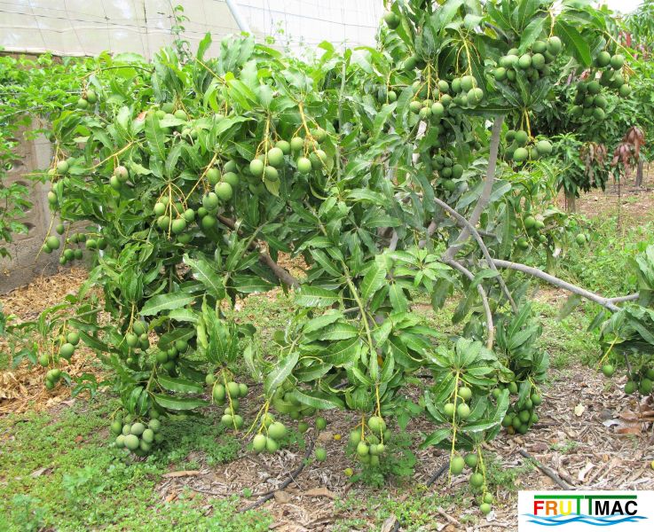 Archivo:72imageIMG 6391 (2).jpg