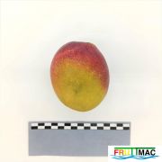 105imageIMG 20230801 120303 (2).jpg