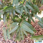 620imageIMG 20240716 114125(1).jpg
