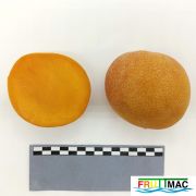 877imageIMG 20230801 120937.jpg