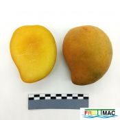 68imageIMG 20230811 132529(2).jpg