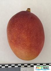 89imageIMG 5412.jpg
