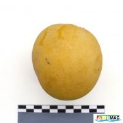 102imageIMG 4486.JPG