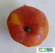 70imageP1140922.JPG