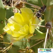 485imageIMG 20250511 122641.111.jpg