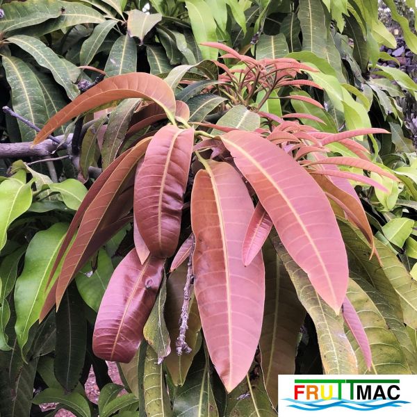 Archivo:624imageIMG 3971 (2).JPG