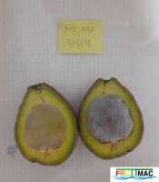 422imageMO.MV001 FRUTO PARTIDOmin.jpg